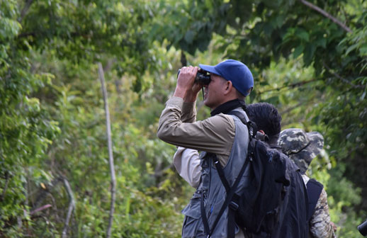 Turismo ornitológico tomará Colima como escenario