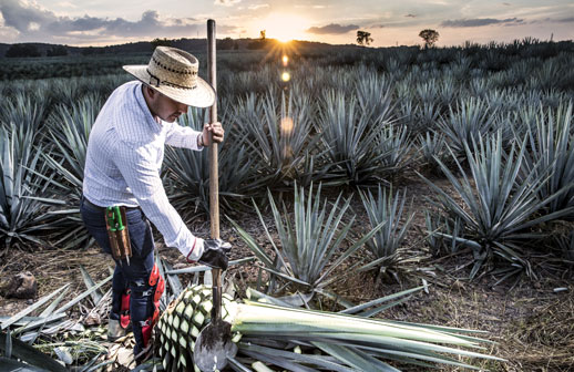 Jalisco reporta casi 23 millones de visitantes durante verano