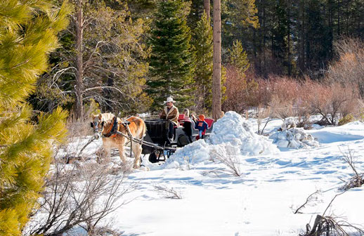 Reno Tahoe: postales invernales a la medida