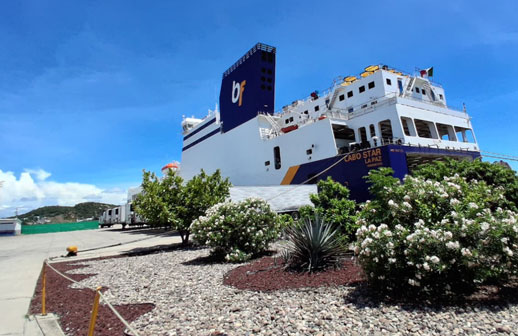 Cabo Star: una travesía inolvidable entre La Paz y Mazatlán