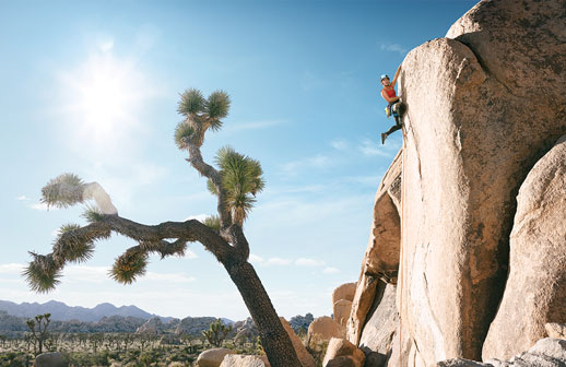 Alista California un 2026 lleno de estrenos y celebraciones históricas