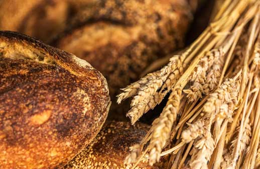 Arizona y Salt Lake City ingresan a la Guía MICHELIN