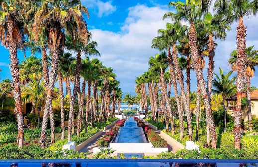 Despedir el año en las playas de Nayarit