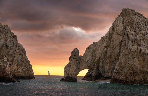 Arte, turismo y tecnología se unen para promocionar Los Cabos