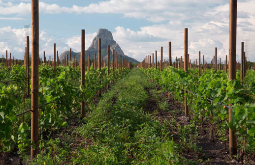Querétaro llega a Madrid e impulsa su conectividad directa con Iberojet
