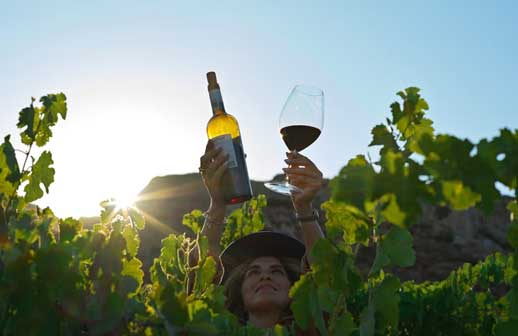 Baja California instala delegación turística en Valle de Guadalupe