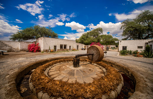 La Ruta del Mezcal en Guanajuato, paisajes que despiertan los sentidos