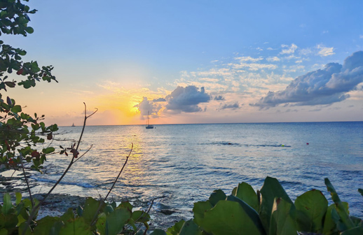 Royal Caribbean garantiza el acceso a playas de Cozumel