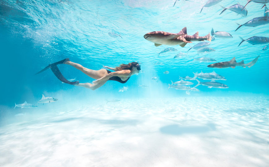 Las Bahamas propone actividades ecoturísticas para celebrar a la Tierra