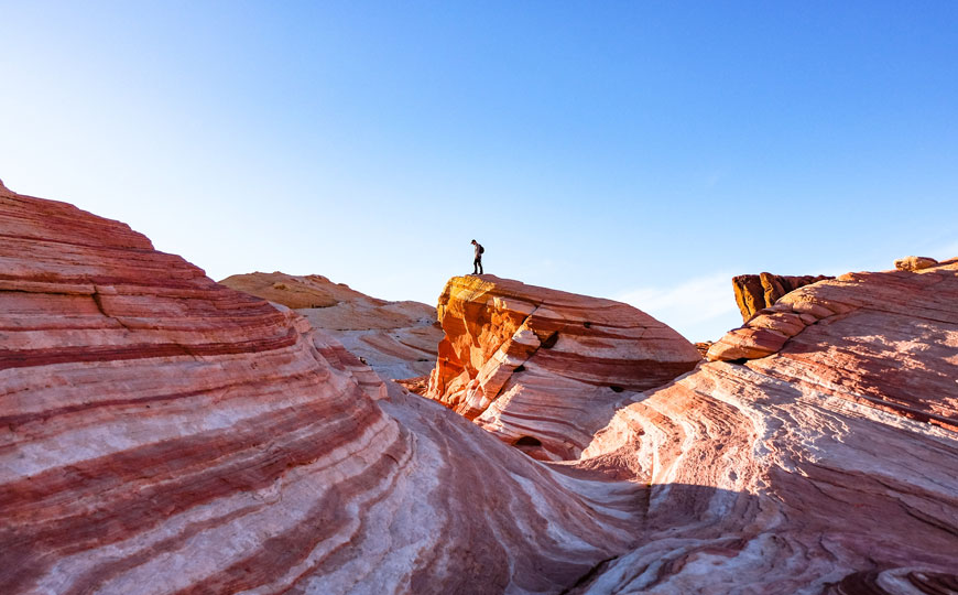Gig-Tripping: el viaje ideal para melómanos