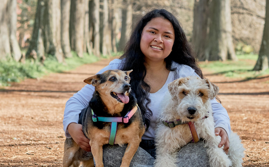 Universal Assistance suma asistencia para mascotas